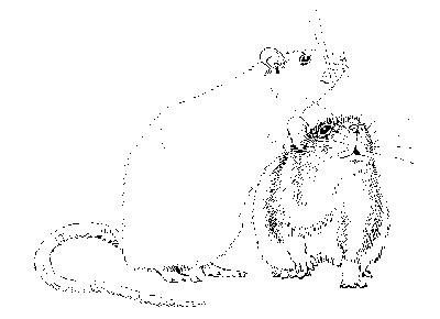 Рисунки крысоводов - Рисунок №4