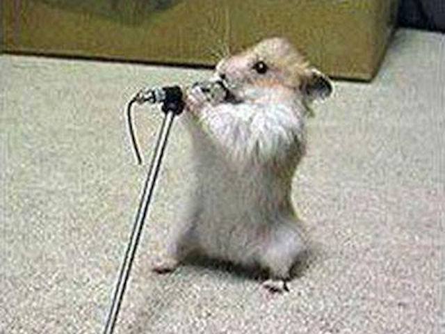 Биоинженеры из Японии заставили мышей-мутантов петь