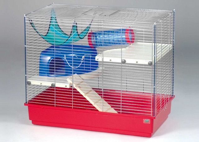 Как выбирать клетки для крыс