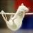 В Казани будут проводить соревнования по крысиному аджилити