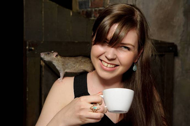 В Лондоне появилась кофейня для крыс