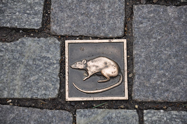 Немецкие крысы вывели из строя городской фонтан