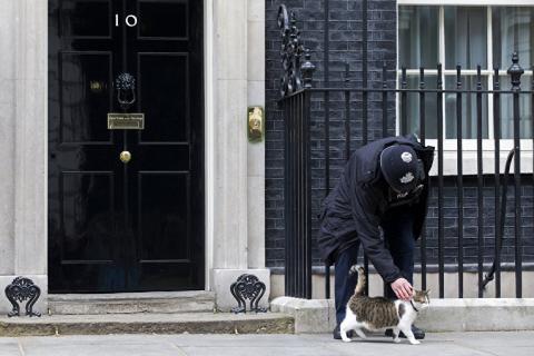 Жизнь Ларри: как проводит свои дни самый главный кот Британской империи (ФОТО)