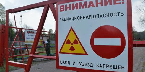 Площадь тления лесной подстилки в Чернобыльской зоне увеличивается