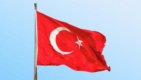 Турецкие власти забрали лицензии у 20 тысяч преподавателей