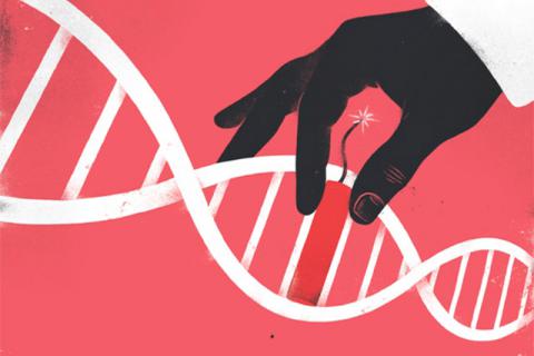 Китайские ученые проведут первую модификацию генома человека в августе
