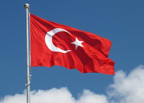 Турецкая власть распустила президентскую гвардию