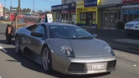 Козы прокатились на Lamborghini (Видео)