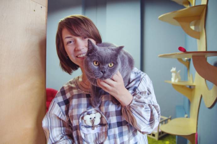 В Перми открылся роскошный отель для кошек