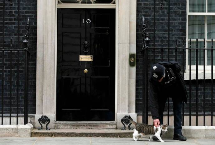 Главный кот Великобритании Ларри не уйдет с Даунинг-стрит с уходом Кэмерона