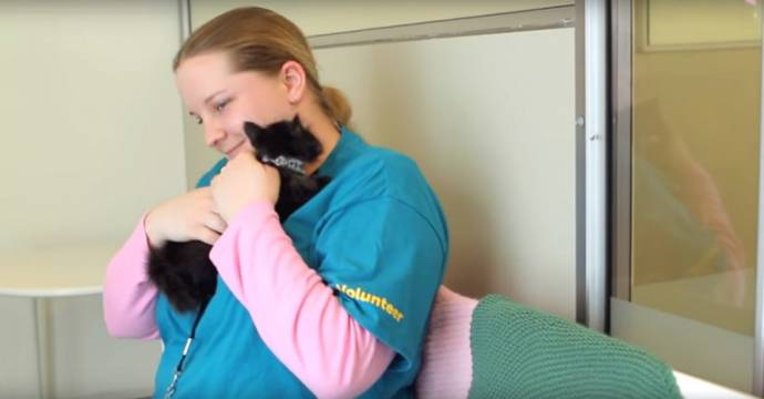 Благодаря черным кошкам девушка-аутист заговорила впервые за десять лет
