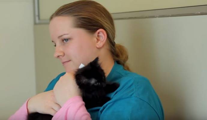 Благодаря черным кошкам девушка-аутист заговорила впервые за десять лет