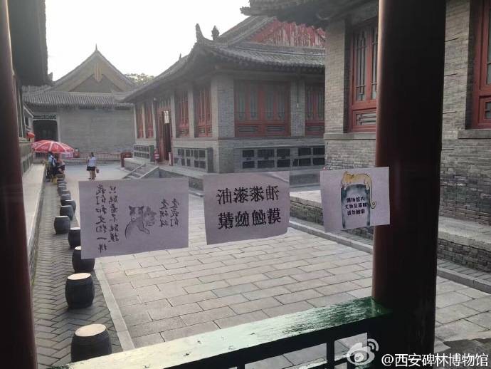 В Китае интернет-пользователи спасли кошек от выселения из музея