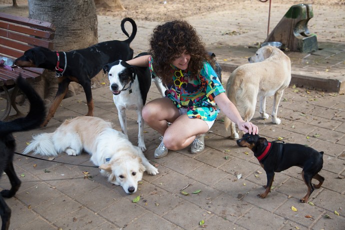 Тель-Авив объявил себя самым дружественным для собак городом в мире