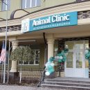 Современный подход к предоставлению ветеринарных услуг в Animal Clinic