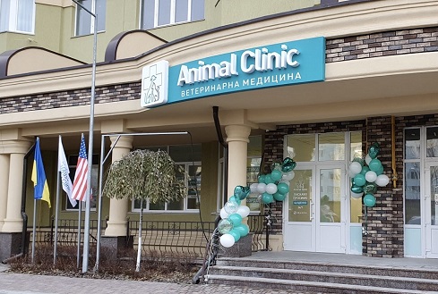 Современный подход к предоставлению ветеринарных услуг в Animal Clinic